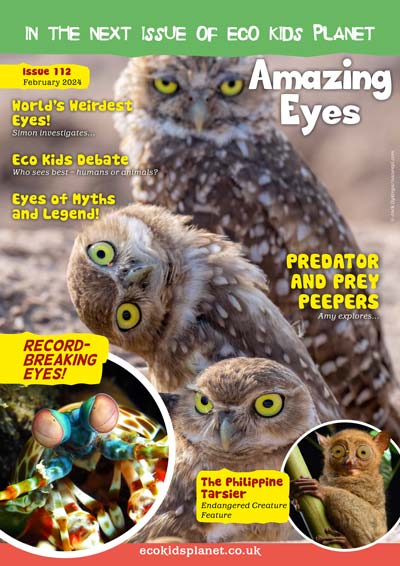 Kid's Nature Magazines – Issue 111 – Tree Dwellers
