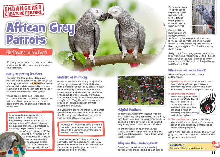 Kid's Nature Magazines – Issue 113 – Clever Creatures