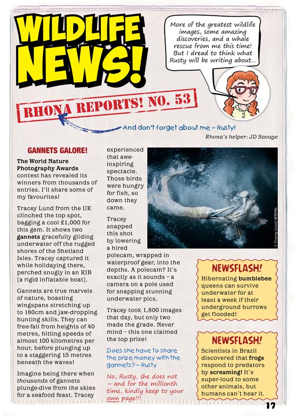 Kid's Nature Magazines – Issue 115 – Oh Deer!