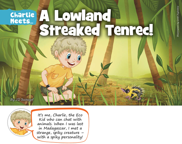 Kid's Nature Magazines – Issue 120 – Yikes – Spikes!