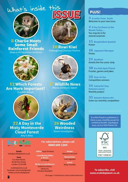 Kid's Nature Magazines – Issue 121 – Weird Woodlands