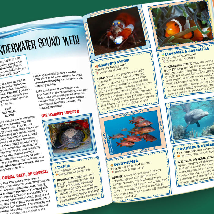 Kid's Nature Magazines – Issue 129-130 – Web of Life