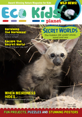 Kid's Nature Magazines – Issue 138 – Secret Worlds – The Hidden Life Under Snow, Sand and Sea