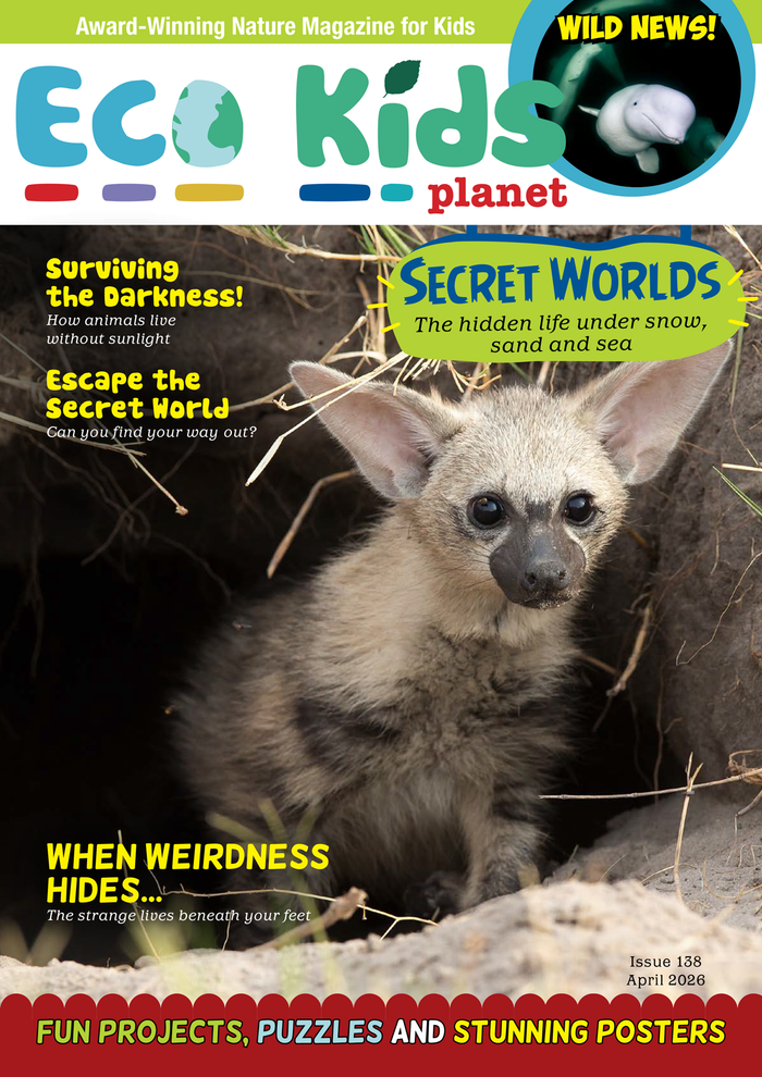 Kid's Nature Magazines – Issue 138 – Secret Worlds – The Hidden Life Under Snow, Sand and Sea