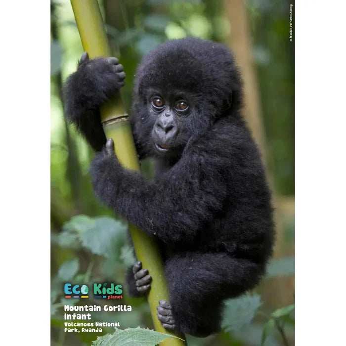 Kid's Nature Magazines – Issue 141 – Wild Africa - A Continent in Motion