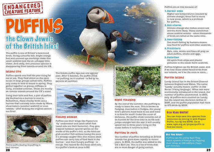 Kid's Nature Magazines – Issue 61 – Britain's Amazing Islands