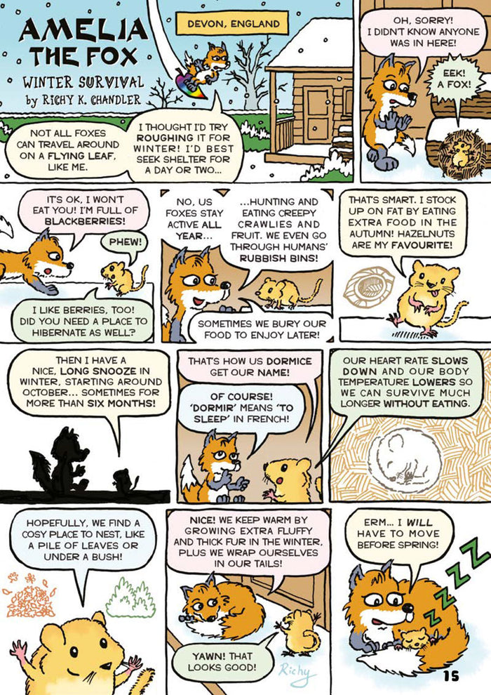 Kid's Nature Magazines – Issue 62 – Winter Wildlife