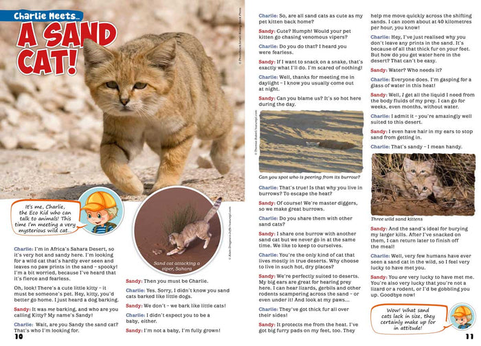 Kid's Nature Magazines – Issue 63 – Wild Cats of the World