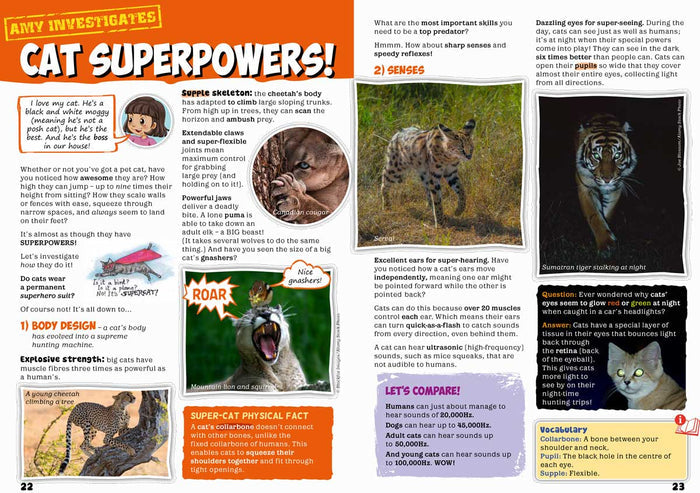 Kid's Nature Magazines – Issue 63 – Wild Cats of the World