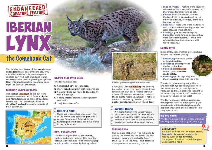 Kid's Nature Magazines – Issue 63 – Wild Cats of the World