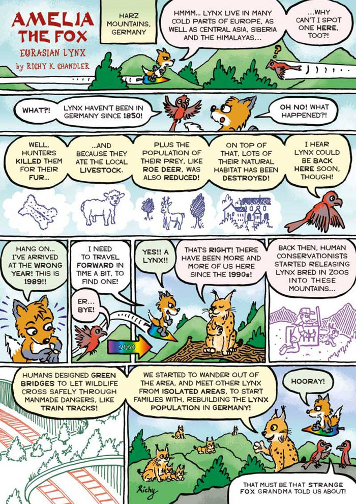 Kid's Nature Magazines – Issue 63 – Wild Cats of the World