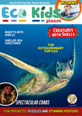 Kid's Nature Magazines – Issue 67 – Creatures with Shells