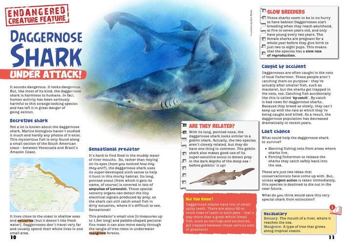 Kid's Nature Magazines – Issue 68 – Sensational Sharks