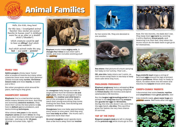 Kid's Nature Magazines – Issue 77 – Animal Babies