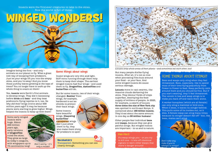 Kid's Nature Magazines – Issue 78 – Winged Insects