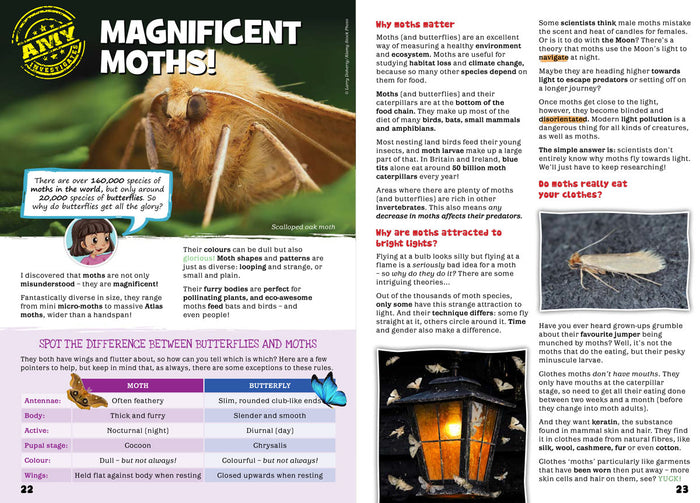 Kid's Nature Magazines – Issue 78 – Winged Insects