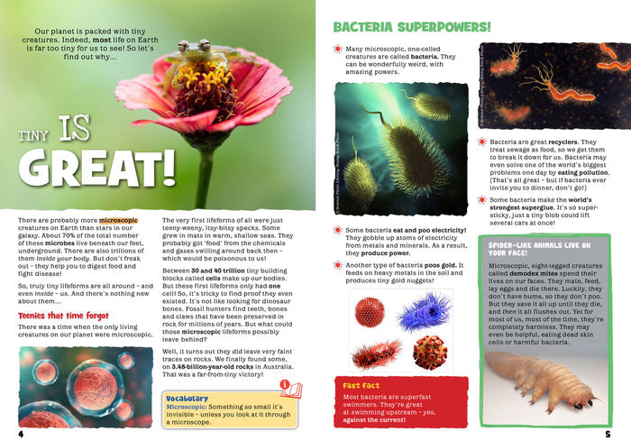 Kid's Nature Magazines – Issue 80 – Tiny Wildlife