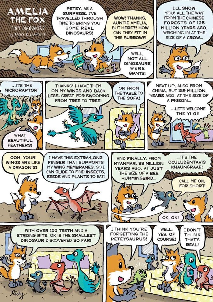 Kid's Nature Magazines – Issue 80 – Tiny Wildlife