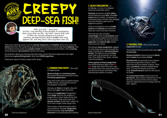 Kid's Nature Magazines – Issue 81/82 – Fantastic Fish