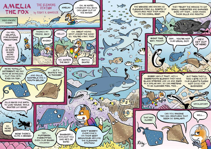Kid's Nature Magazines – Issue 81/82 – Fantastic Fish