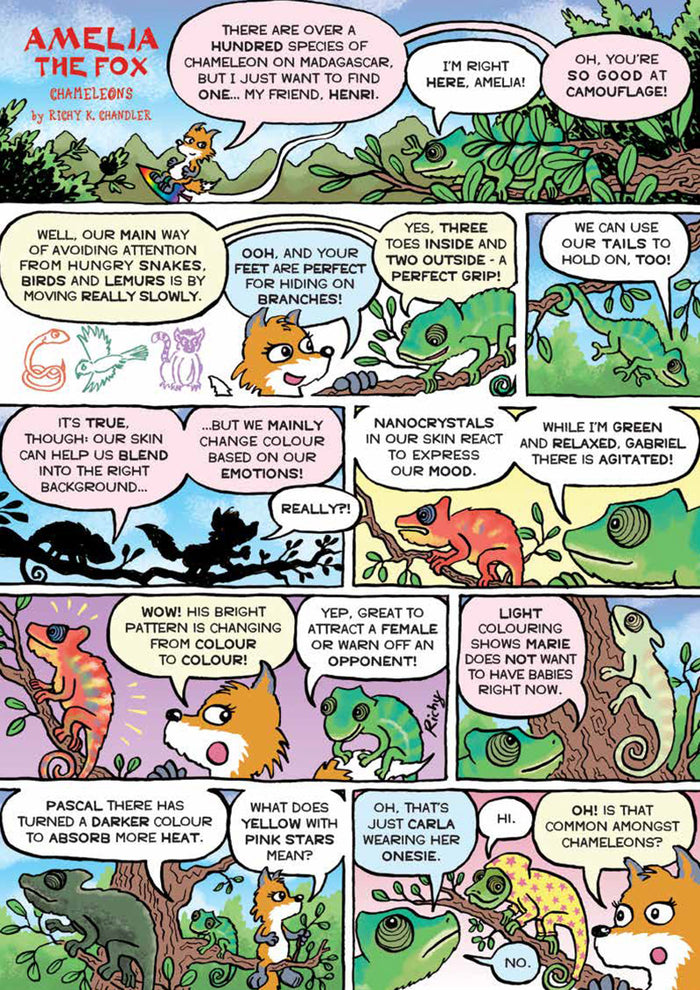 Kid's Nature Magazines – Issue 83 –  Reptiles Rock!