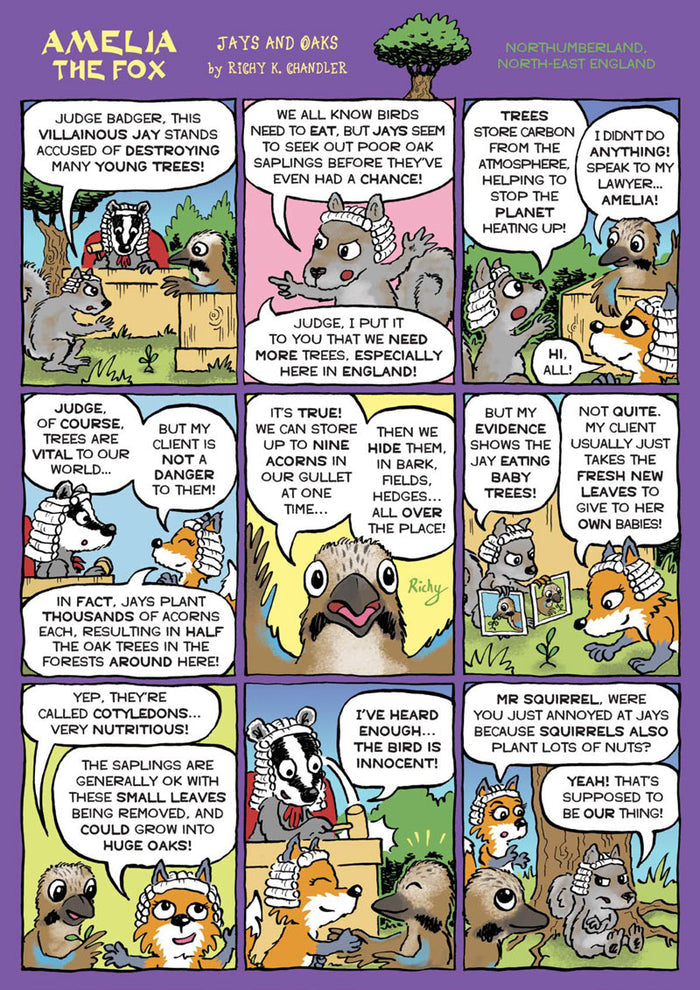 Kid's Nature Magazines – Issue 86 – Go Wild!