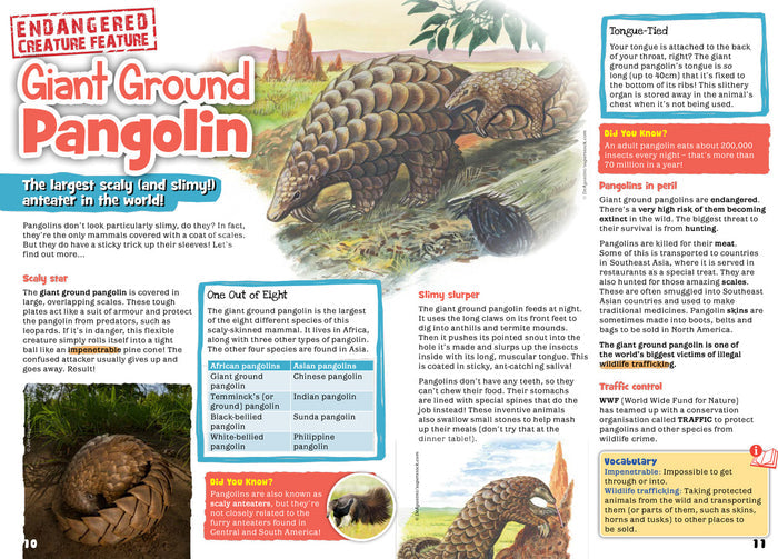 Kid's Nature Magazines – Issue 89 – Slimy Species!