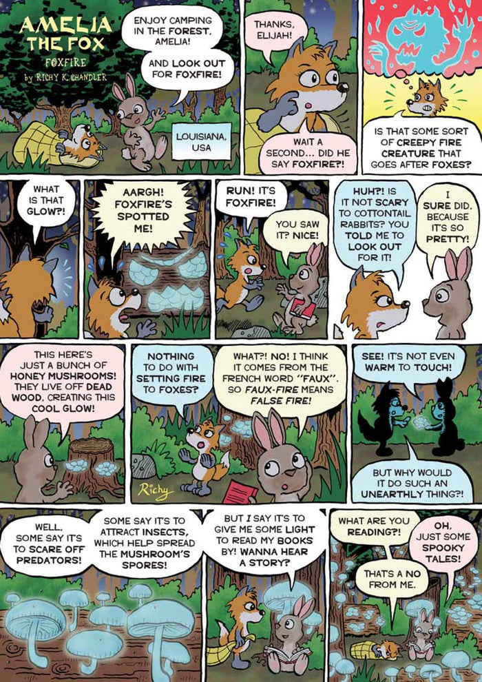 Kid's Nature Magazines – Issue 95 - Funky Fungi!