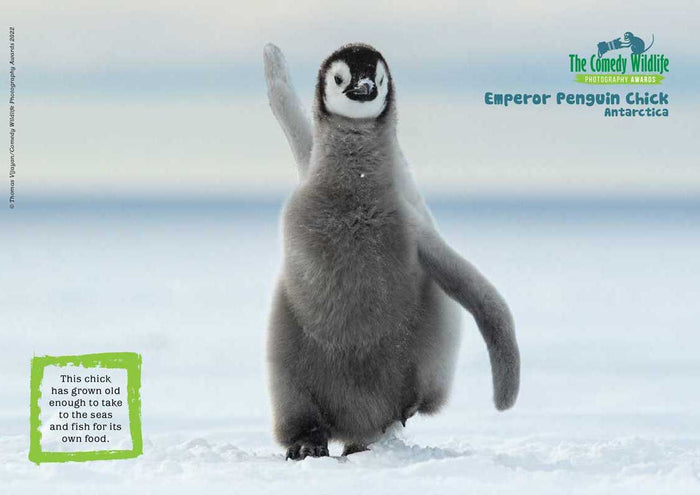 Kid's Nature Magazines – Issue 98 - Extreme Animals