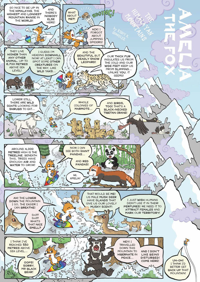 Kid's Nature Magazines – Issue 98 - Extreme Animals