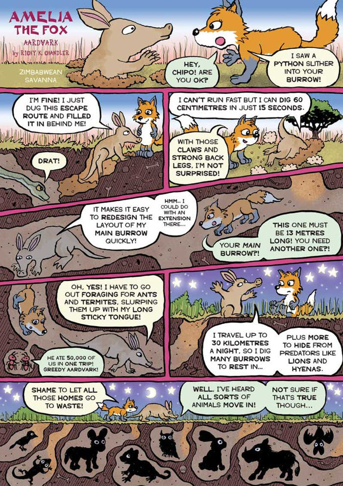 Kid's Nature Magazines – Issue 99 - Best Builders!