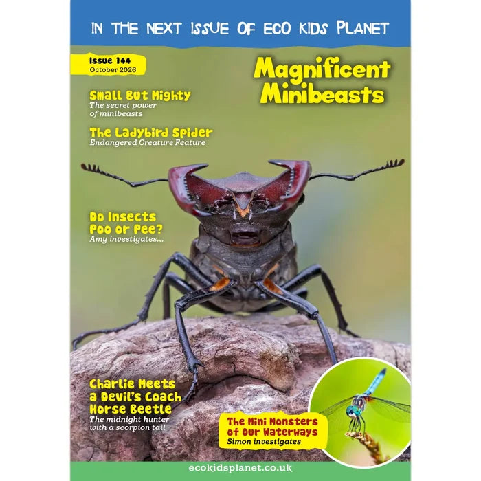Magazine Subscription – One-Off Renewal