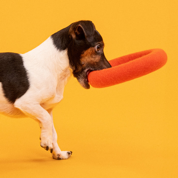 myfelt - Mats Hundespielzeug