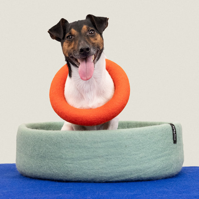 myfelt - Mats Hundespielzeug