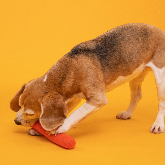 myfelt - Mats Hundespielzeug