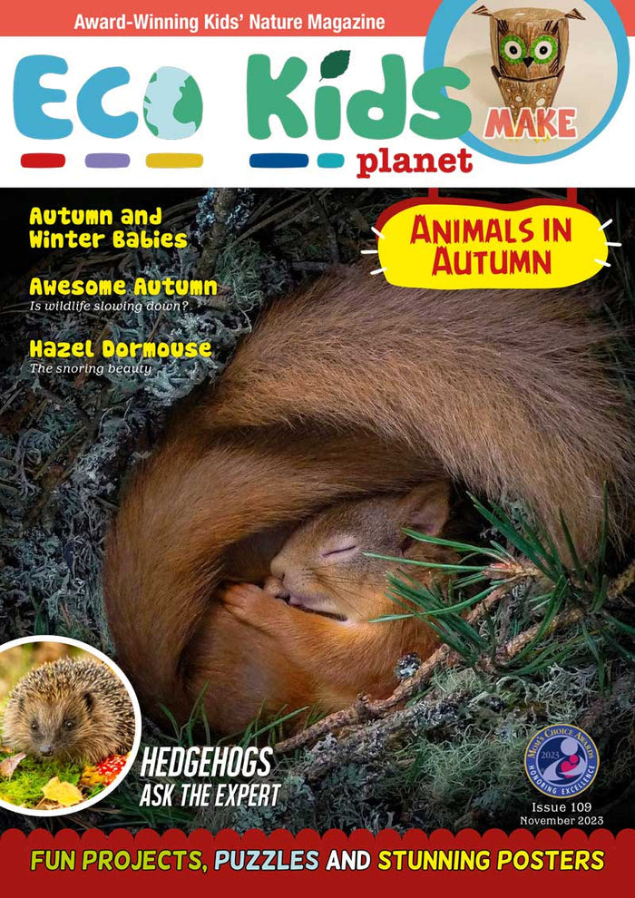 Tricks, Treats & Autumn Feats Bundle