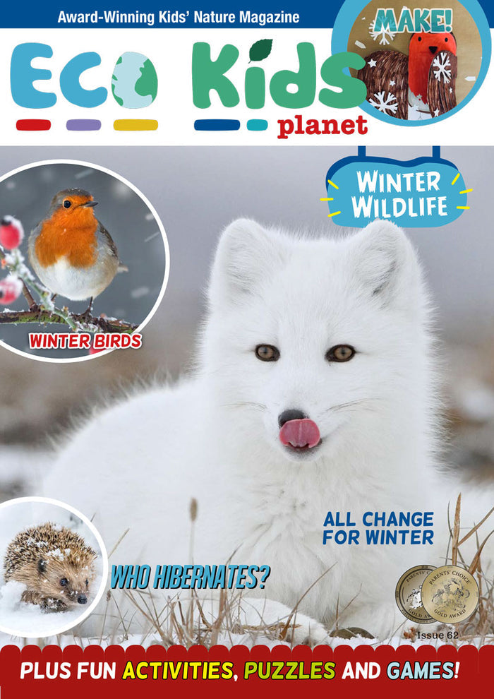 Winter Wildlife Collection