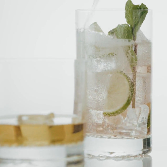 Zwiesel Glas - Chess Longdrinkglas